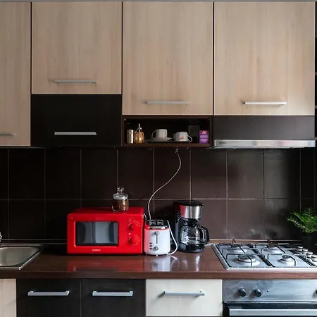 Castel Central Studio Apartment Brasov